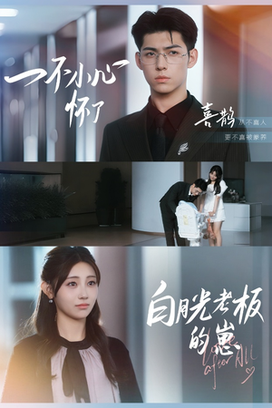 一不小心怀了白月光老板的崽（66集）演员表