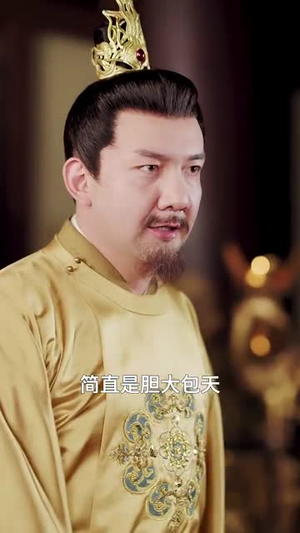 和离后公主她被迫饲养反派影卫（100集）第二季