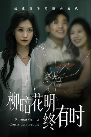 柳暗花明终有时（50集）经典老剧免费看