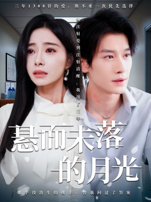 悬而未落的月光（40集）1-102集