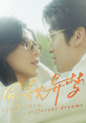 同枕异梦（50集）短剧免费看全集