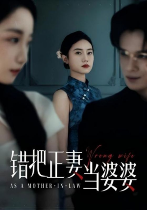 错把正妻当婆婆（46集）全剧看到大结局