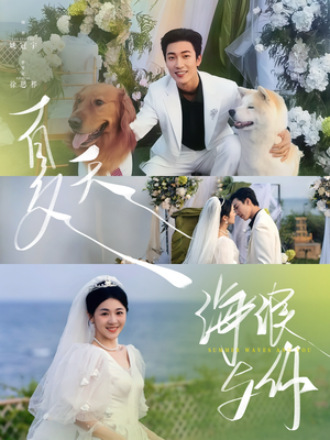 夏天，海浪与你（76集）短剧越看越精彩