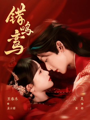 错鸣鸾（75集）一口气看完