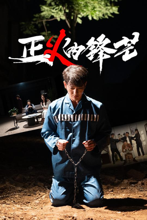 zheng正义的锋芒（64集）大结局一气呵成