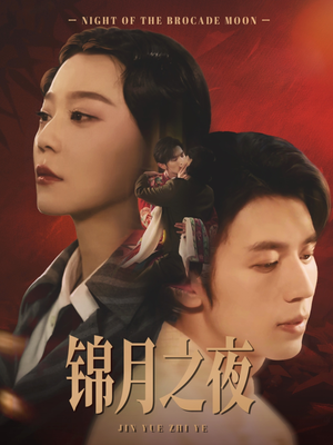 锦月之夜（79集）无需会员免费看