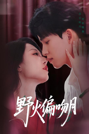 野火偏吻月（51集）精彩热门短剧