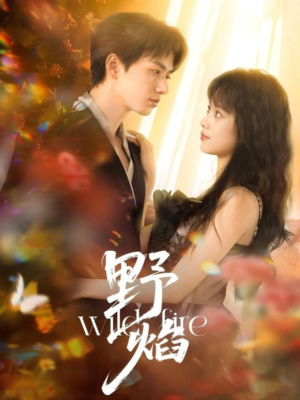 野焰（60集）好看到停不下来