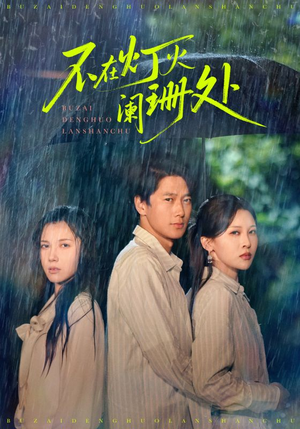 不在灯火阑珊处（74集）看到大结局