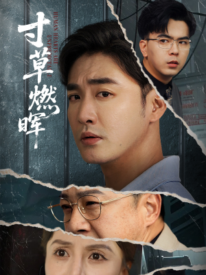 寸草燃晖（70集）最火短剧热播