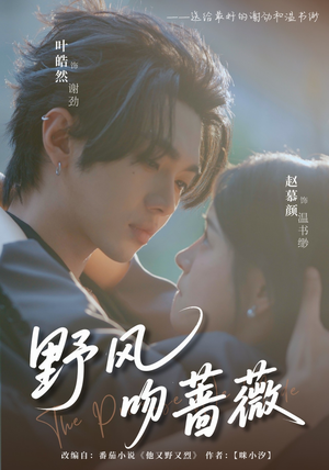野风吻蔷薇（78集）免费观看就是爽