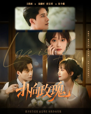 扑向玫瑰（77集）精彩好看的短剧