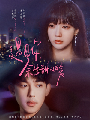 遇见你余生甜又暖（70集）最火短剧热播中