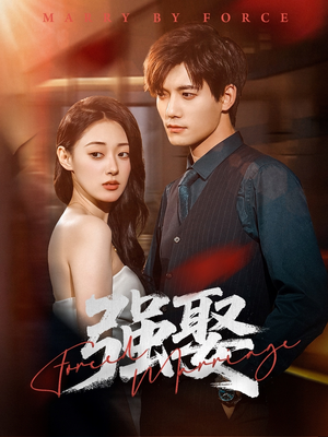 强娶（80集）最火短剧热播