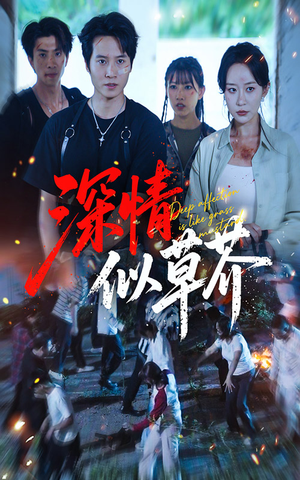 深情似草芥（51集）在哪看是免费的