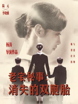 老宅秘事消失的双胞胎（90集）精彩的网络短剧