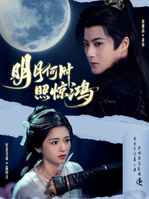 明月何时照惊鸿（80集）一起追短剧