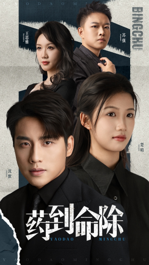 药到命除（72集）在线看免费版