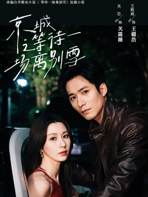京城之等待一场离别雪（42集）热门短剧追不停