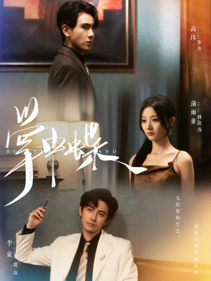 掌中蝶（84集）最新热门短剧