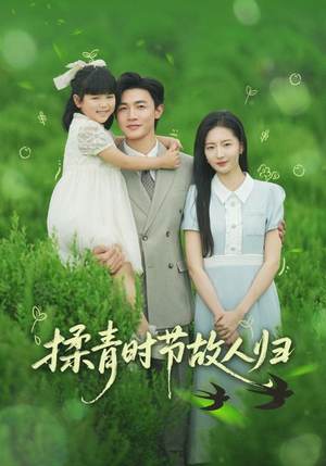 揉青时节故人归（60集）短剧全集免费