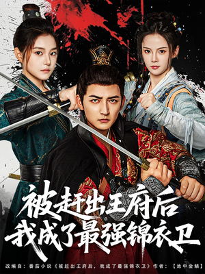 被赶出王府后我成了最强锦衣卫（80集）排行榜前十短剧