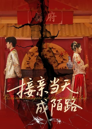 接亲当天成陌路（50集）真的太好看了