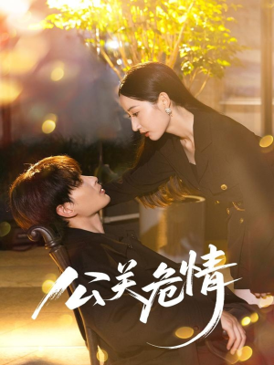 公关危情（60集）精彩短剧看全集