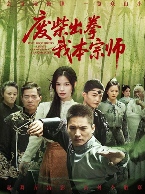 废柴出拳我本宗师（61集）在哪个平台能看