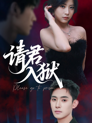 请君入狱（31集）让你一口气看完