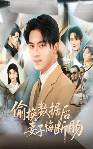 偷换数据后妻子悔断肠（63集）1-102集