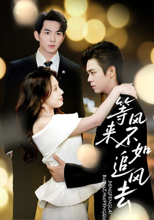 等风来不如追风去（72集）精彩短剧下载