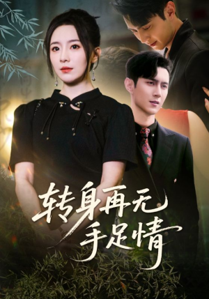 转身再无手足情（71集）热门了短剧