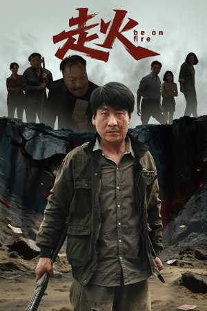 走火（60集）无需会员轻松看