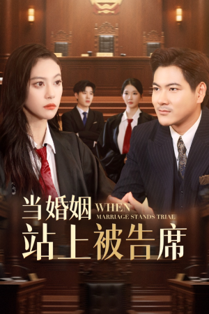 当婚姻站上被告席（30集）热门短剧看不停