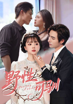 野性可驯（63集）在哪里可以全集