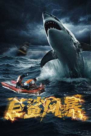 巨鲨风暴（59集）视频在线看
