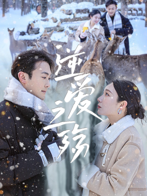 逆爱之殇（60集）看精彩短剧