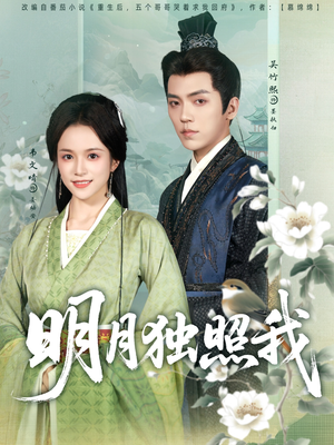 明月独照我（80集）独家资源免费看