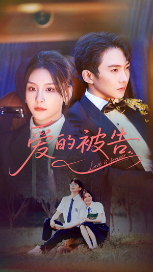 爱的被告（70集）精彩好看的短剧