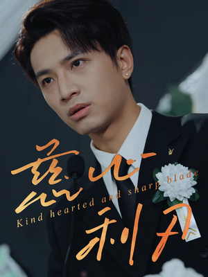 慈心利刃（30集）爱上了这部剧了