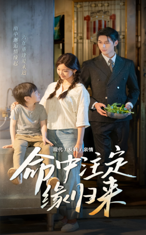 命中注定缘归来（63集）精彩短剧追不停