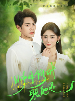 明月何时照他还（73集）好看短剧分享