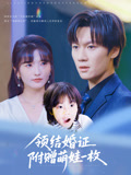 领结婚证附赠萌娃一枚（53集）在线观看全集