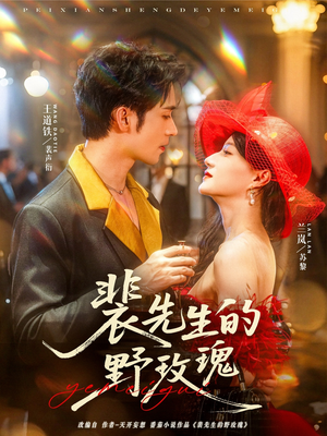 裴先生的野玫瑰（72集）在线播放