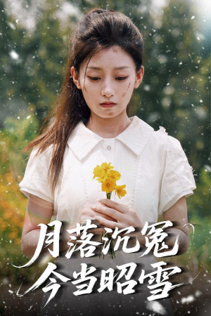 月落沉冤今当昭雪（60集）无需会员免费看