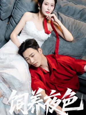 饲养夜色（86集）热播短剧追不停