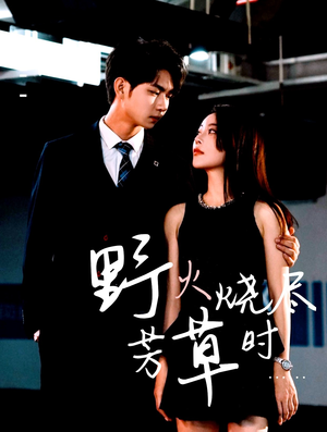 野火烧尽芳草时（65集）直接追到结尾