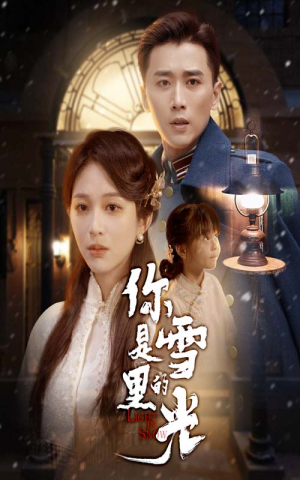 你是雪里的光（64集）免费看短剧