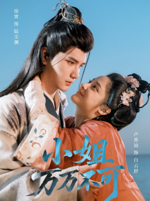 小姐万万不可（74集）免费看全网短剧